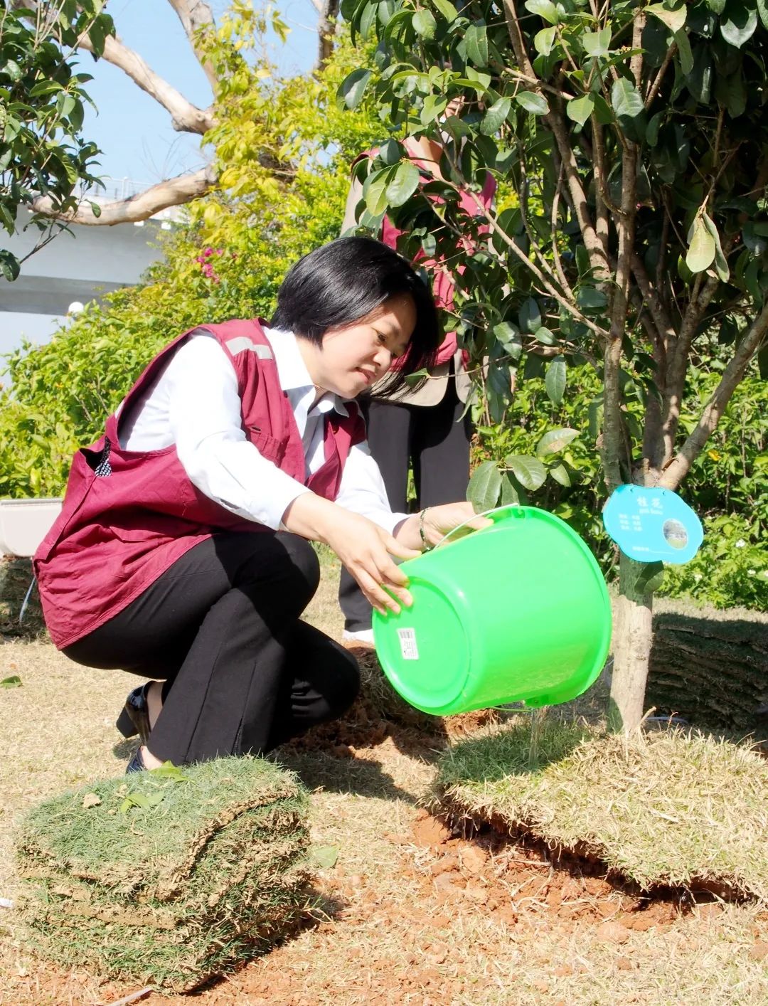 1648716115736453.jpg 66530077572881de26747fb6893d1637.jpg