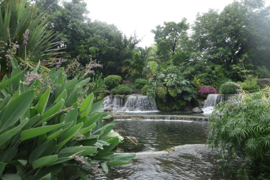 1750910259634061.png image.png